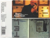 Capa do artigo What It Means - CD