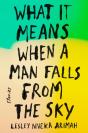 What It Means When A Man Falls From The Sky - Preview