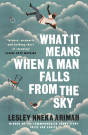 What It Means When A Man Falls From The Sky - Preview