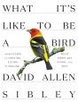 What It'S Like To Be A Bird - Preview