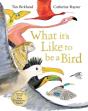 What It'S Like To Be A Bird - Preview