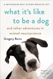 Capa do artigo What Its Like To Be A Dog & Other Advent