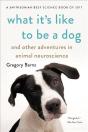 What Its Like To Be A Dog & Other Advent - Preview