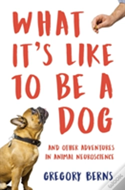 Capa do artigo What It'S Like To Be A Dog