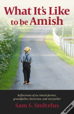 Capa do artigo What It'S Like To Be Amish