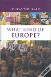 Capa do artigo What Kind Of Europe?