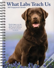 Capa do artigo What Labs Teach Us 2027 Engagement