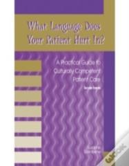 What Language Does Your Patient Hurt In?