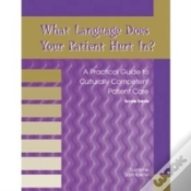 Capa do artigo What Language Does Your Patient Hurt In?