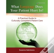 Capa do artigo What Language Does Your Patient Hurt In?