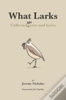 What Larks