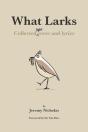 What Larks - Preview