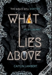 Capa do artigo What Lies Above
