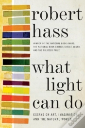 Capa do artigo What Light Can Do