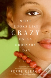 What Looks Like Crazy On An Ordinary Day