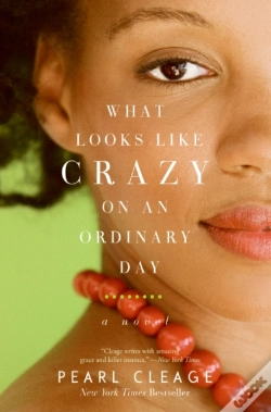 Capa do artigo What Looks Like Crazy On An Ordinary Day
