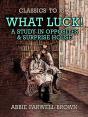 What Luck! A Study In Opposites & Surprise House - Preview