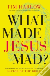 Capa do artigo What Made Jesus Mad?*