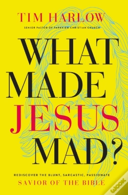 Capa do artigo What Made Jesus Mad?*
