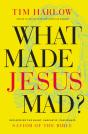 What Made Jesus Mad?* - Preview