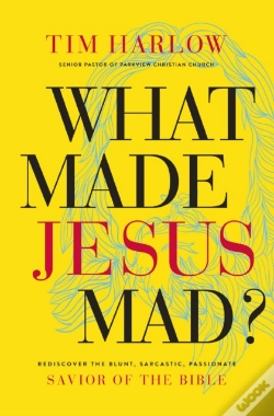 Capa do artigo What Made Jesus Mad Pb