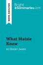 What Maisie Knew By Henry James (Book Analysis) : Detailed Summary, Analysis And Reading Guide - Preview