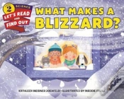 Capa do artigo What Makes A Blizzard?
