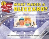 What Makes A Blizzard?