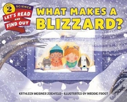 Capa do artigo What Makes A Blizzard?