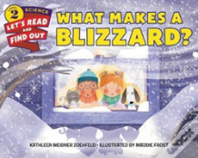 What Makes A Blizzard?