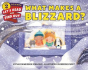 What Makes A Blizzard? - Preview