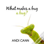 What Makes A Bug A Bug?