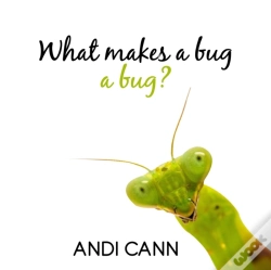 Capa do artigo What Makes A Bug A Bug?