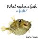 What Makes A Fish A Fish? - Preview
