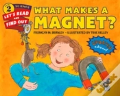 Capa do artigo What Makes A Magnet?