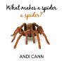 What Makes A Spider A Spider - Preview