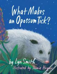 What Makes An Opossum Tick?