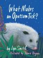 What Makes An Opossum Tick? - Preview