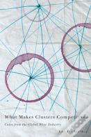 What Makes Clusters Competitive?