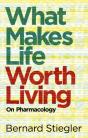 What Makes Life Worth Living - Preview