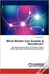 What Matter Can Sustain A Wormhole?