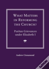What Matters In Reforming The Church? Puritan Grievances Under Elizabeth I