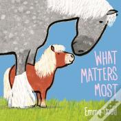 What Matters Most