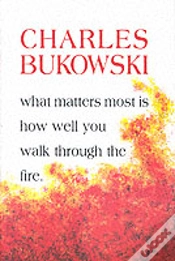 Capa do artigo What Matters Most Is How Well You Walk Through The Fire