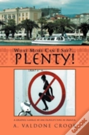 Capa do artigo What More Can I Say? ... Plenty!
