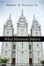 What Mormons Believe - Preview