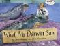 What Mr Darwin Saw - Preview