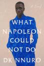 What Napoleon Could Not Do - Preview