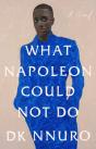 What Napoleon Could Not Do - Preview