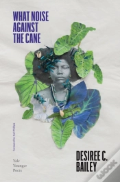 Capa do artigo What Noise Against The Cane